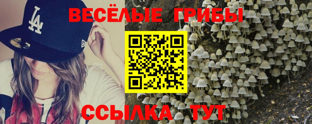 Санкт-Петербург  Галлюциногенные грибы MAGIC MUSHROOMS  Псилоцибиновые грибы Psilocybe  Вход с VPN 